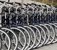 Rondleiding fiets Alkmaar
